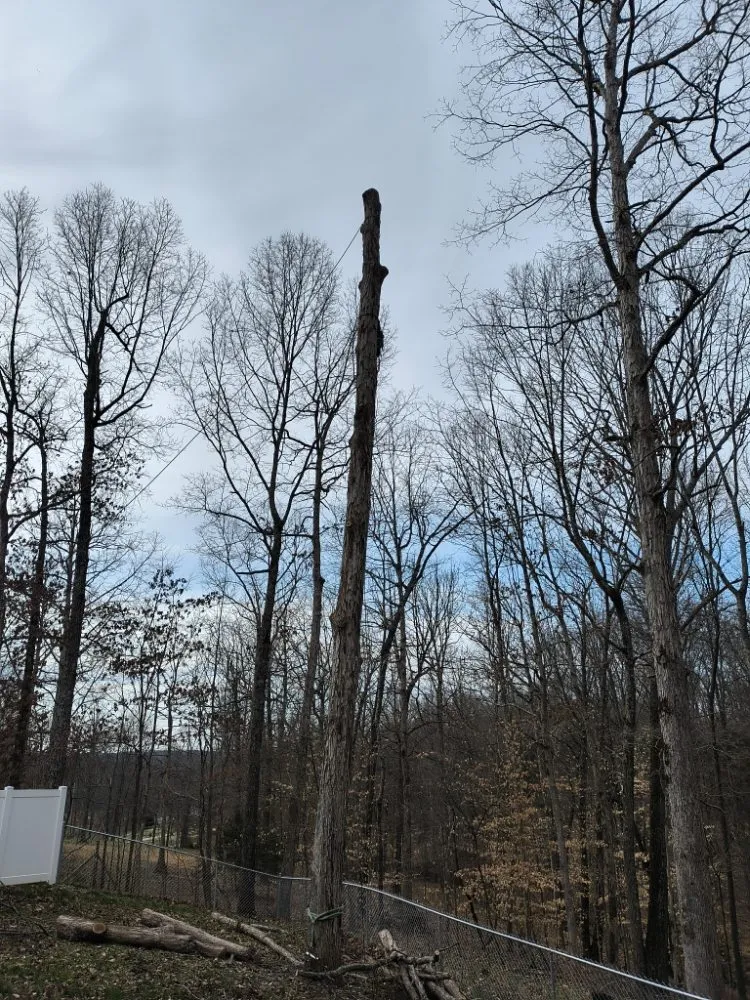 Professional outdoor landscaping in Clarksville, TN by LNM Landscaping