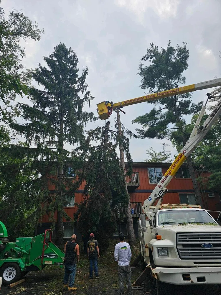 Affordable residential landscaping experts serving Portland, MI - LNS Excavating & Tree Service