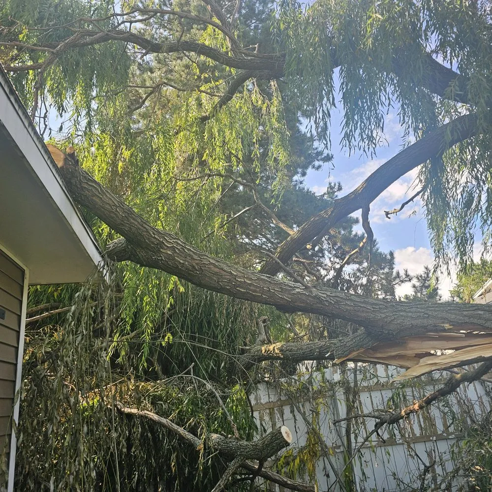 Affordable landscape installation in Portland, MI - LNS Excavating & Tree Service