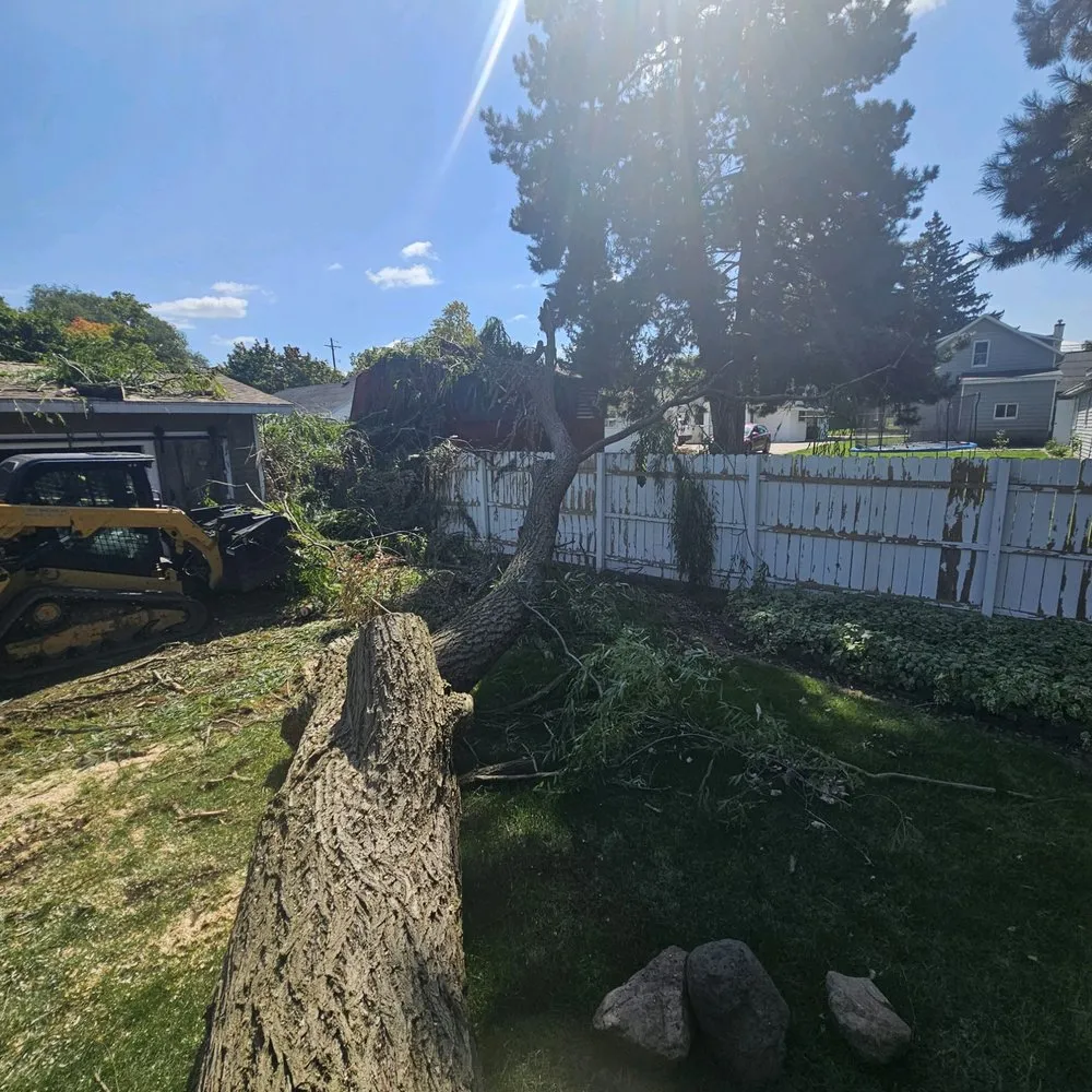 Professional yard cleanup service for residential properties across Portland, MI - LNS Excavating & Tree Service