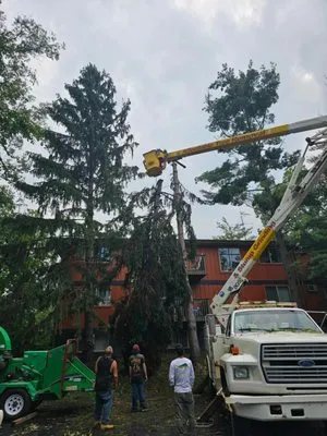 LNS Excavating & Tree Service