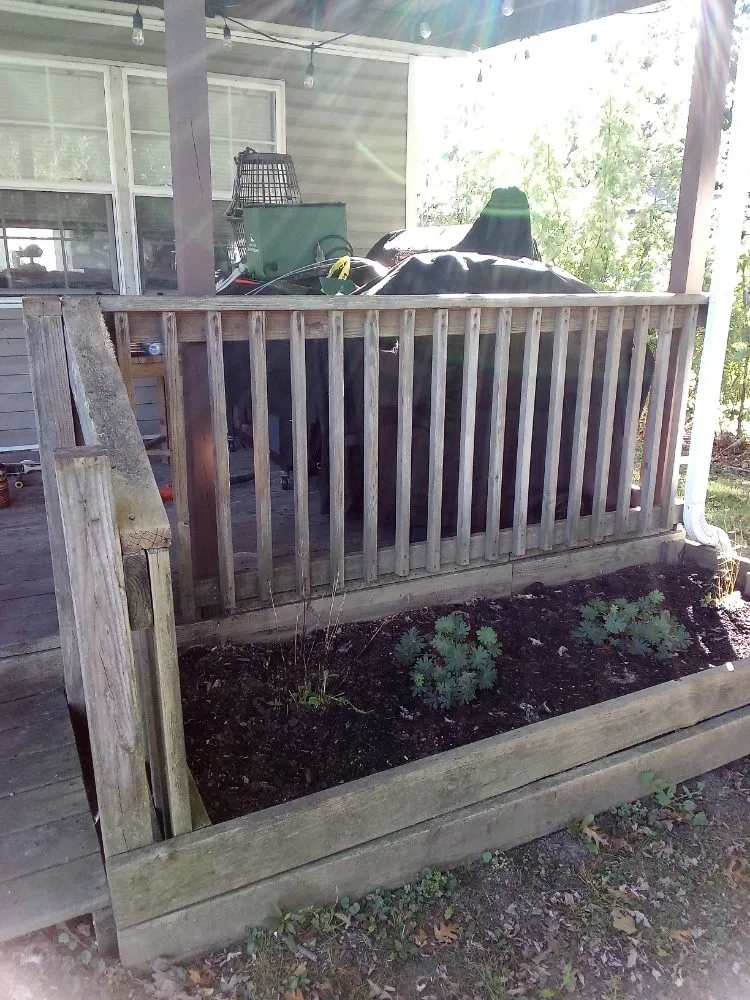 Professional outdoor landscaping for residential properties across Oberlin, OH - LN'S Pressure Washing & Maintenance