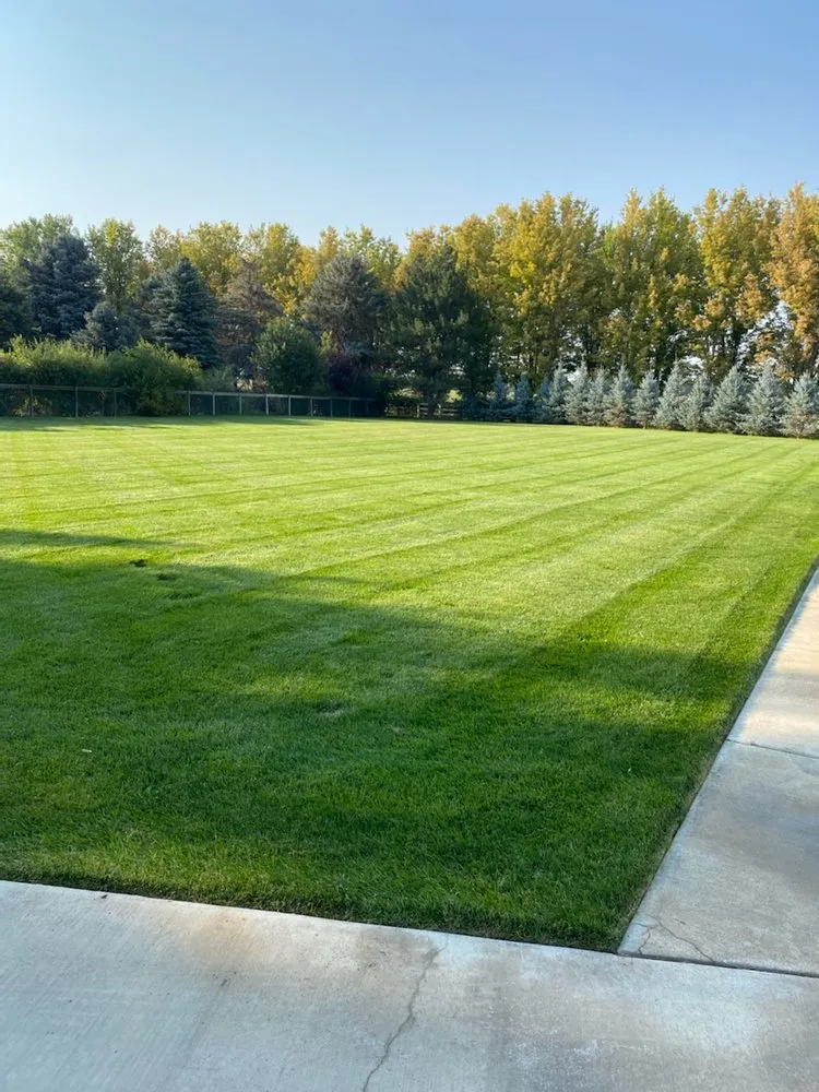 Top-rated lawn mowing service experts serving Longmont, CO - LO CO Lawn & Landscaping