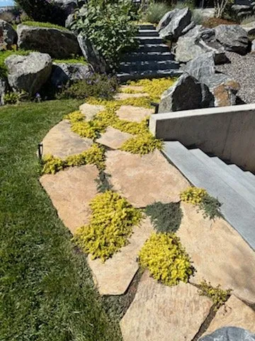 Custom residential landscaping experts serving Longmont, CO - LO CO Lawn & Landscaping