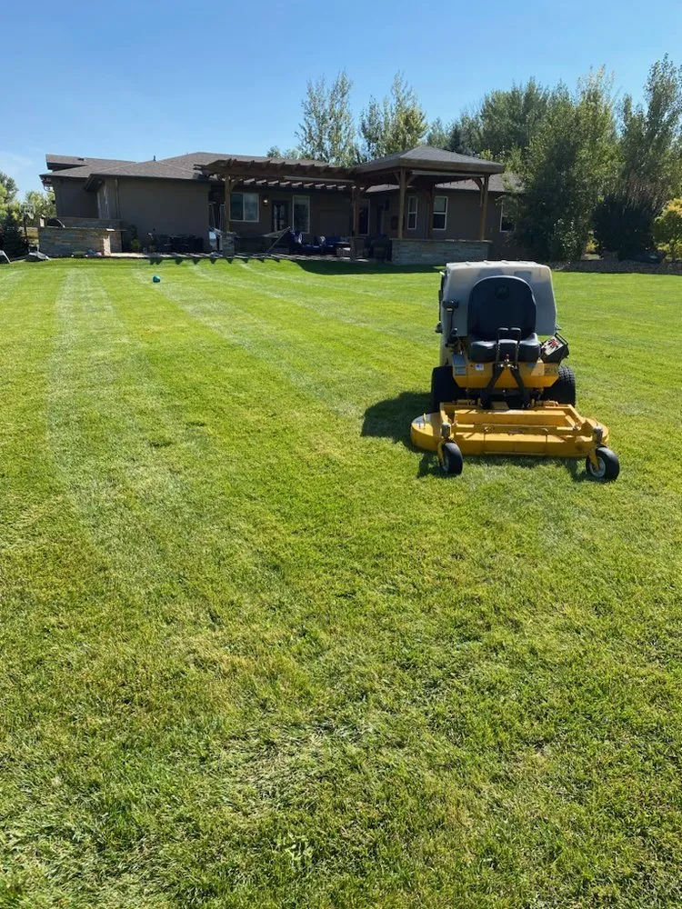Professional lawn care service in Longmont, CO - LO CO Lawn & Landscaping