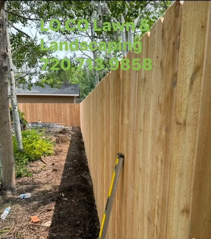 Reliable yard maintenance experts serving Longmont, CO - LO CO Lawn & Landscaping