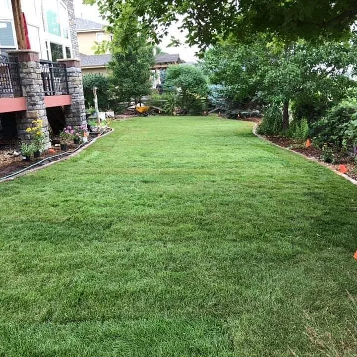Top-rated lawn care service in Longmont, CO by LO CO Lawn & Landscaping
