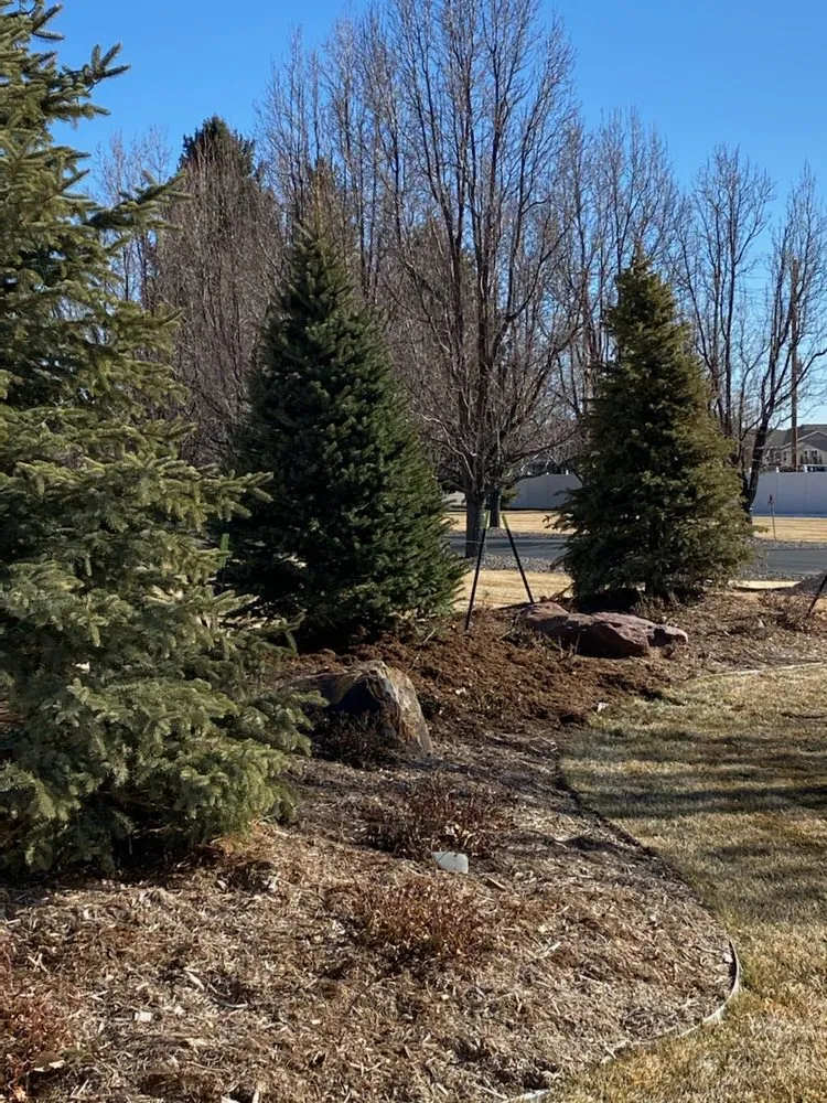 Reliable lawn mowing service in Longmont, CO by LO CO Lawn & Landscaping