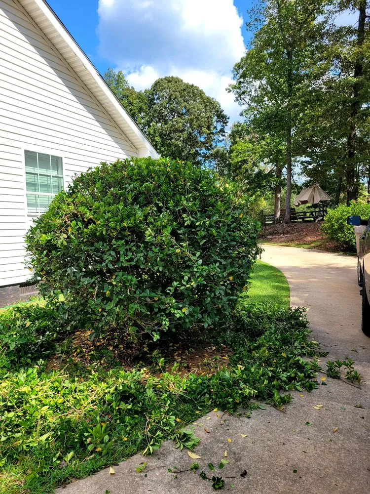 Trusted yard cleanup service for homes across Senoia, GA - Lo-Country LawnCare