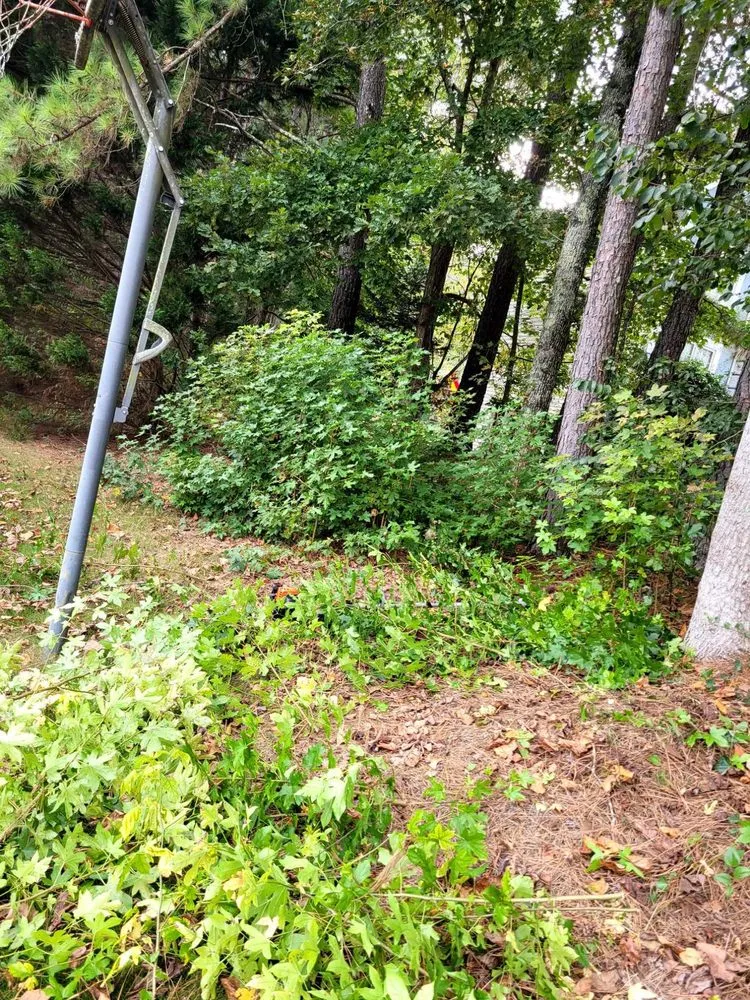 Affordable garden landscaping in Senoia, GA by Lo-Country LawnCare