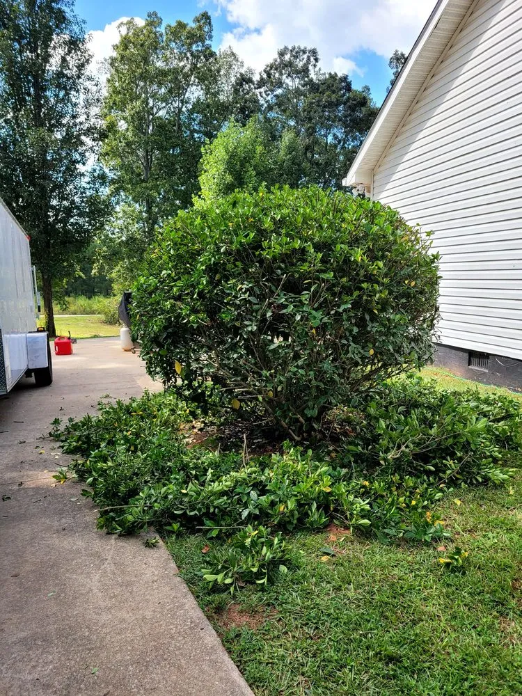 Top-rated lawn care service for year-round maintenance across Senoia, GA - Lo-Country LawnCare