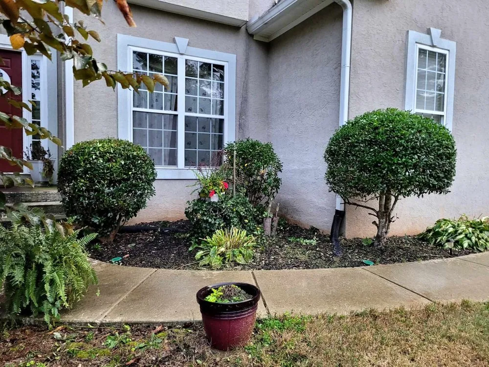 Professional lawn mowing service in Senoia, GA by Lo-Country LawnCare