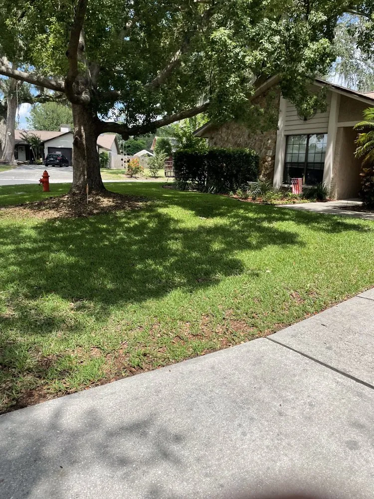 Custom yard cleanup service for outdoor upgrades in Lakeland, FL by Lo Cut Lawns