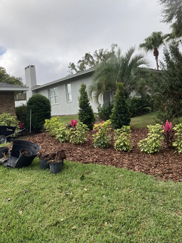 Reliable lawn care service near you across Lakeland, FL - Lo Cut Lawns