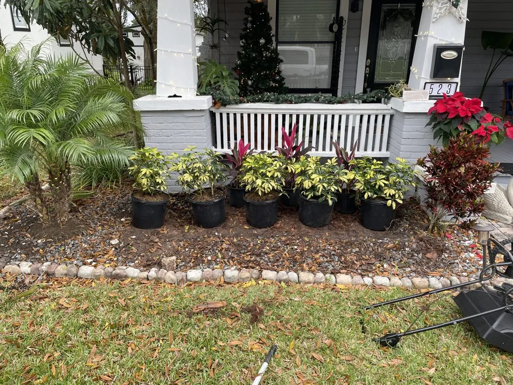 Trusted yard cleanup service near you across Lakeland, FL - Lo Cut Lawns