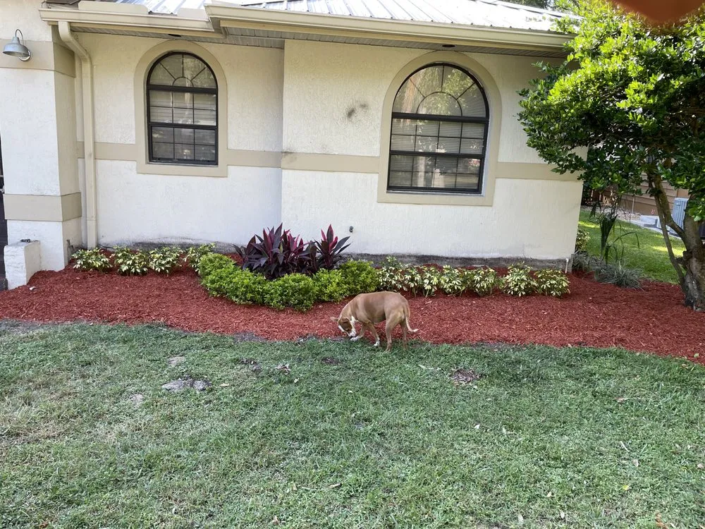 Trusted yard cleanup service with custom design in Lakeland, FL by Lo Cut Lawns