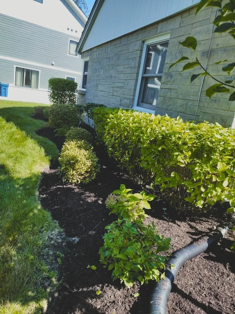 Top-rated yard maintenance in Glendale Heights, IL by L&O Landscaping and Sealcoating