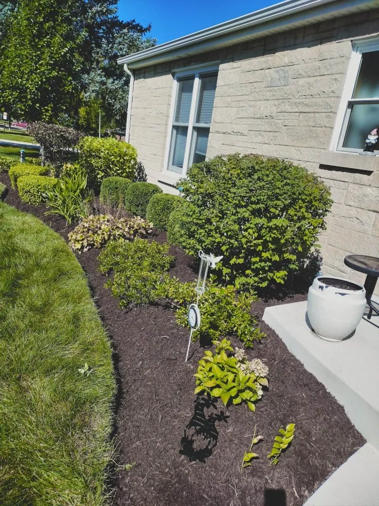 Custom yard maintenance in Glendale Heights, IL by L&O Landscaping and Sealcoating