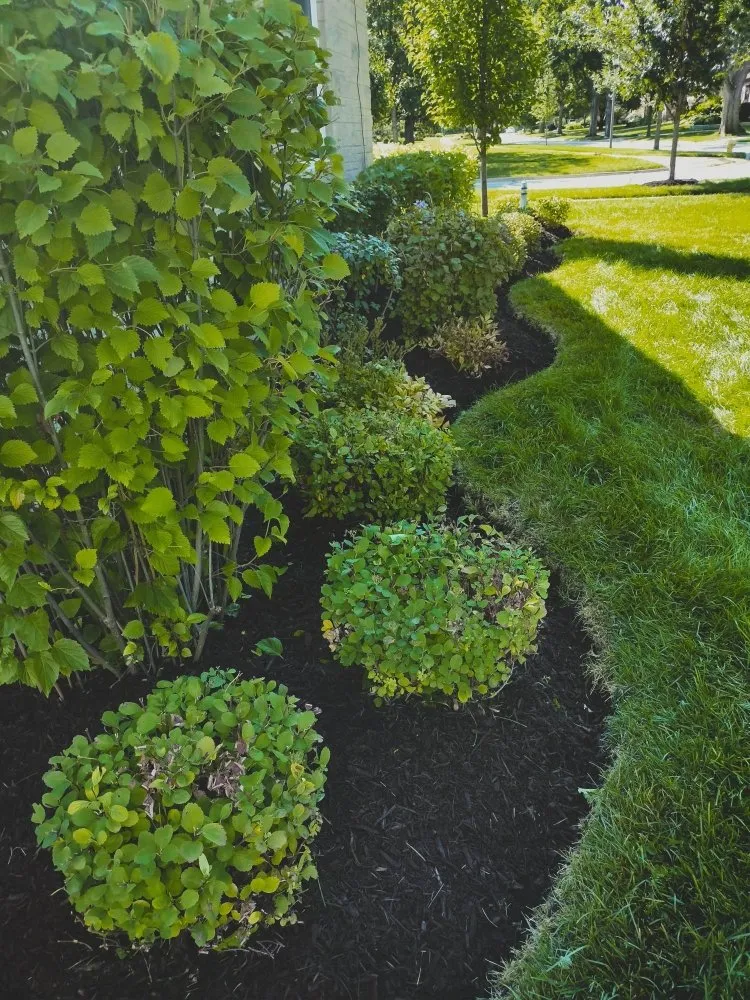 Reliable yard cleanup service with custom design in Glendale Heights, IL by L&O Landscaping and Sealcoating