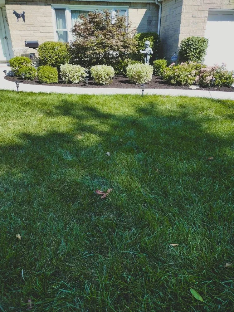 Top-rated lawn mowing service for year-round maintenance across Glendale Heights, IL - L&O Landscaping and Sealcoating