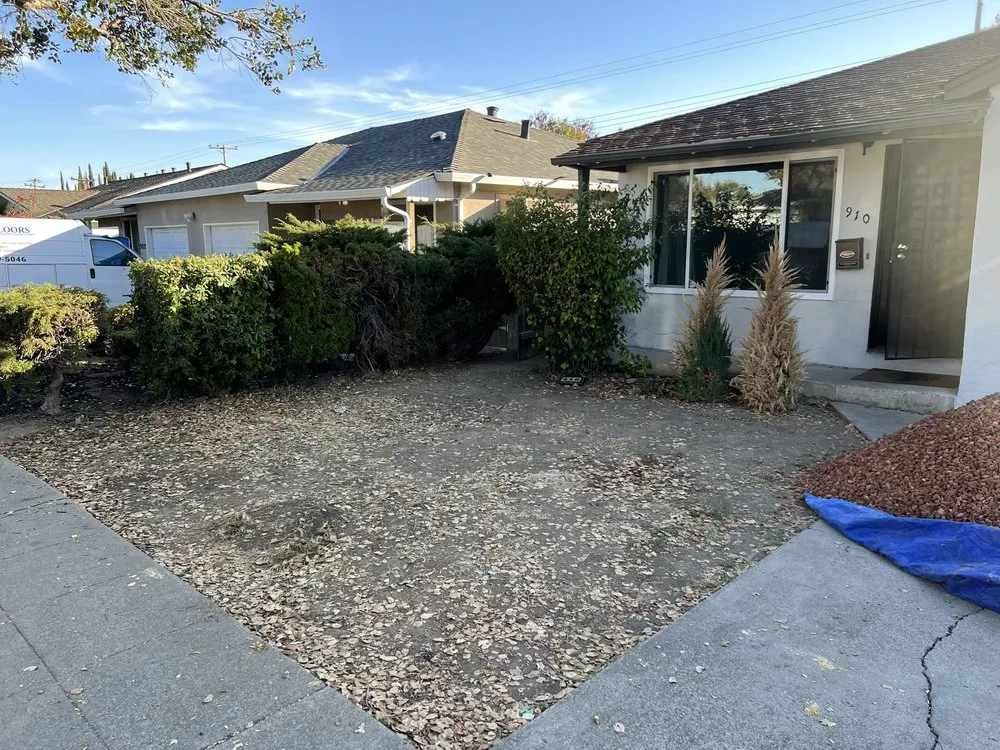 Trusted lawn care service for year-round maintenance across San Jose, CA - LO Landscaping