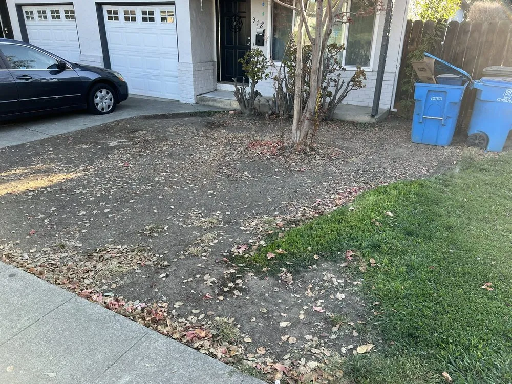 Expert outdoor landscaping for homes across San Jose, CA - LO Landscaping