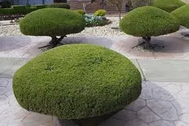 Trusted landscaping services with custom design across joliet, IL - L.O.A. Landscaping And Maintenance