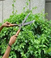 Trusted landscaping services in joliet, IL - L.O.A. Landscaping And Maintenance