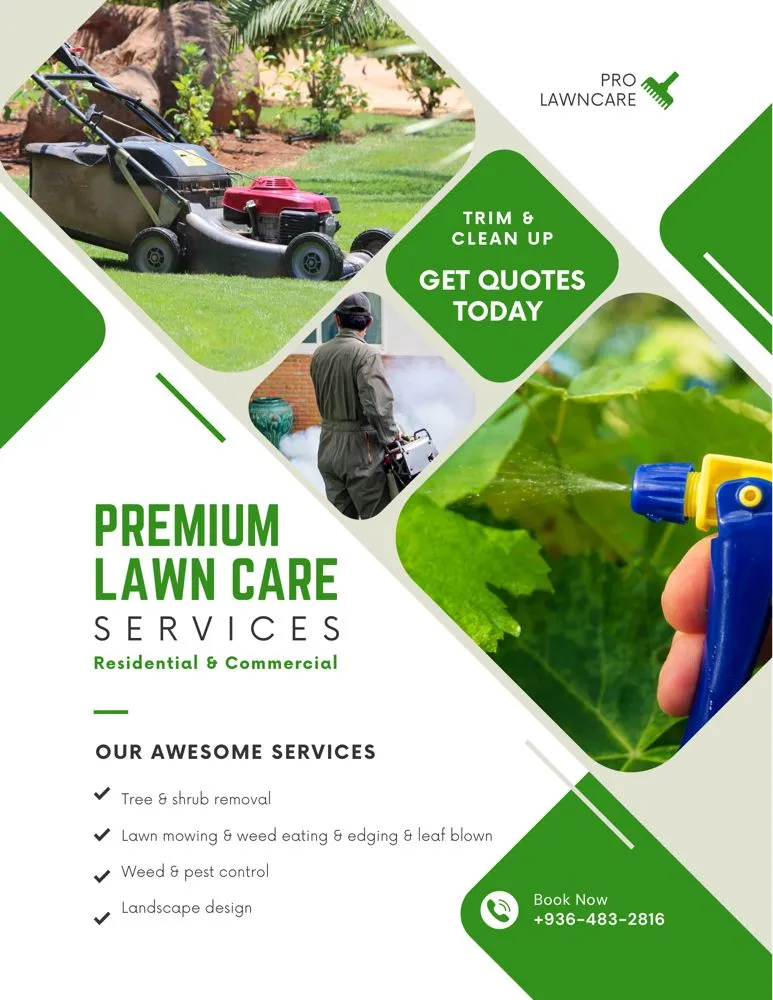 Top-rated lawn mowing service experts serving Livingston, TX - Loan Star Lawn Care