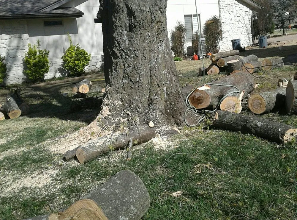 Top-rated landscape design for year-round maintenance in Tulsa, OK by Loard Phillips Tree Service & Removal