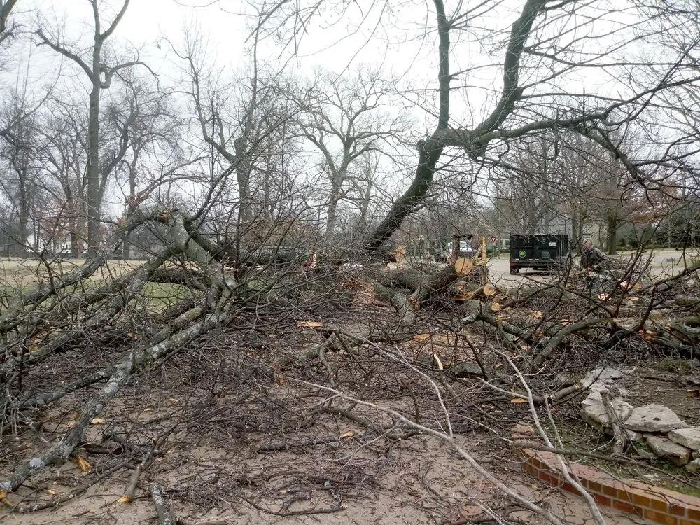 Trusted landscape design experts serving Tulsa, OK - Loard Phillips Tree Service & Removal