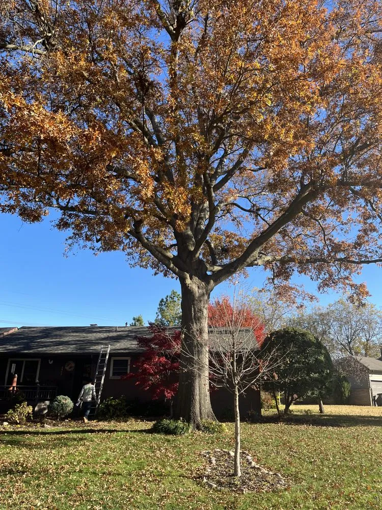 Local lawn mowing service in Tulsa, OK by Loard Phillips Tree Service & Removal