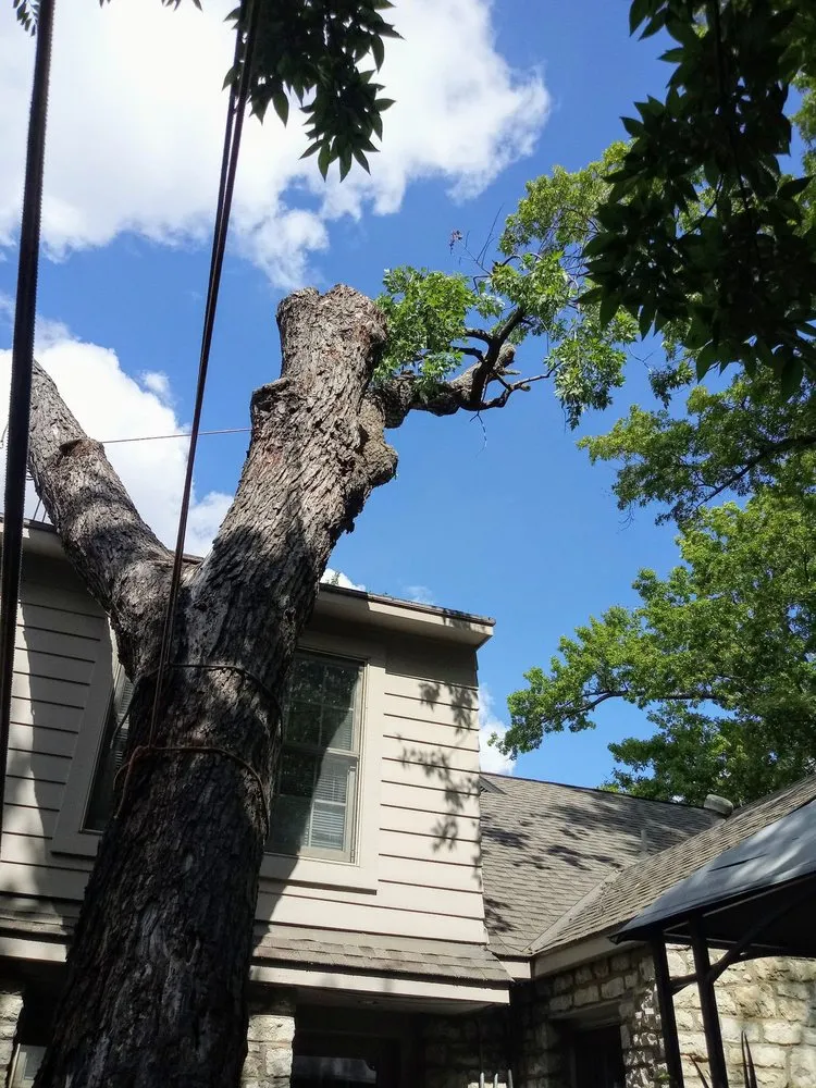 Local landscape installation experts serving Tulsa, OK - Loard Phillips Tree Service & Removal