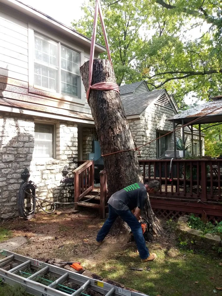 Top-rated yard cleanup service in Tulsa, OK - Loard Phillips Tree Service & Removal