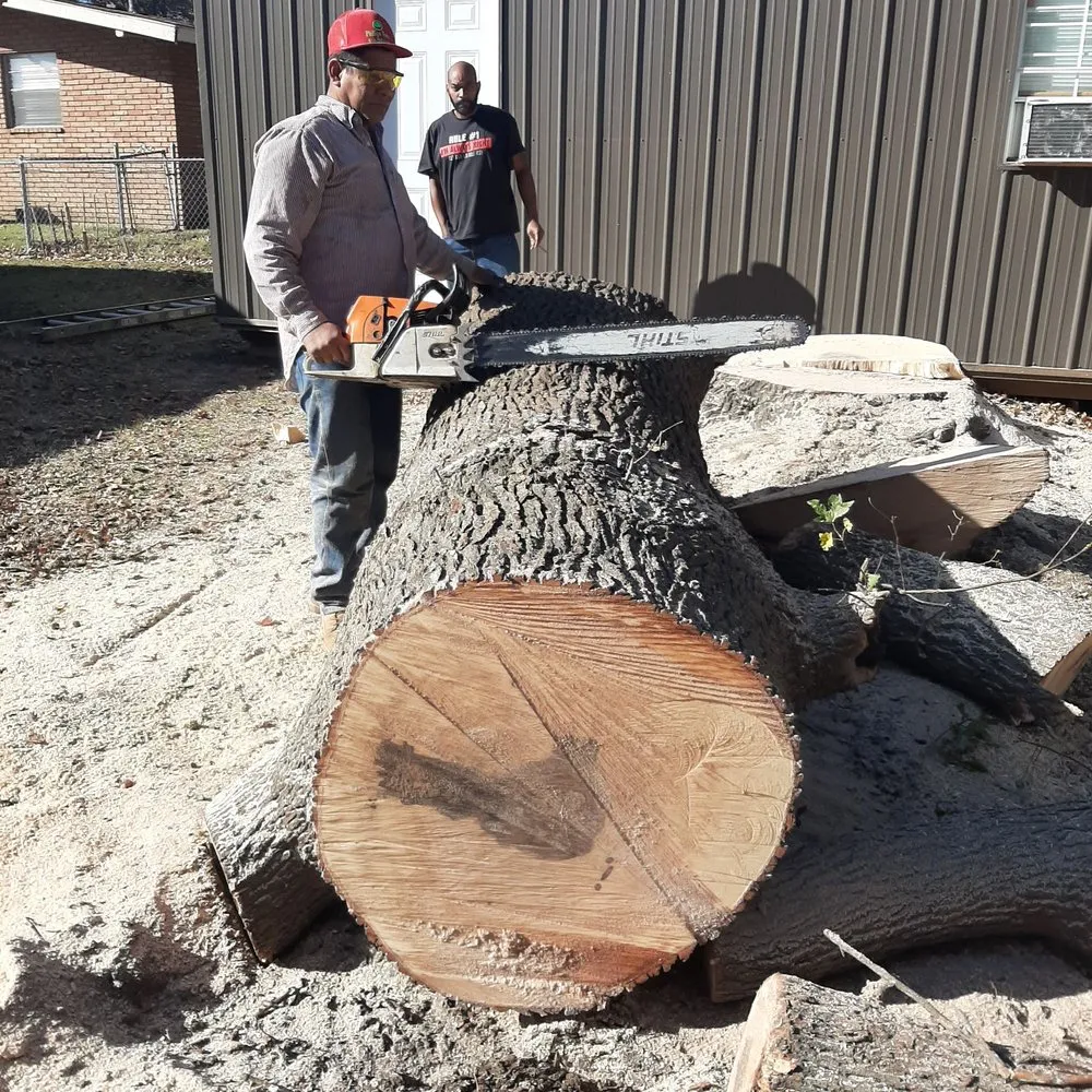 Local outdoor landscaping in Tulsa, OK - Loard Phillips Tree Service & Removal