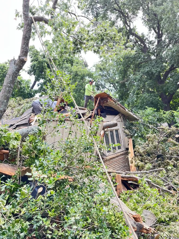 Reliable outdoor landscaping for year-round maintenance across Tulsa, OK - Loard Phillips Tree Service & Removal