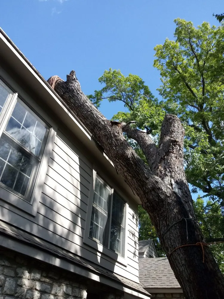 Reliable residential landscaping for beautiful yards in Tulsa, OK by Loard Phillips Tree Service & Removal