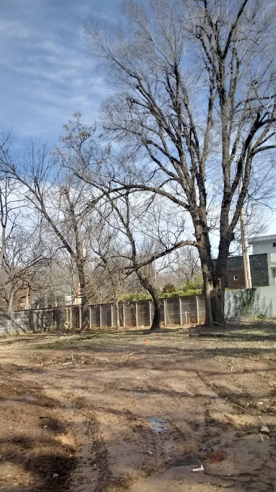 Reliable landscaping services experts serving Tulsa, OK - Loard Phillips Tree Service & Removal