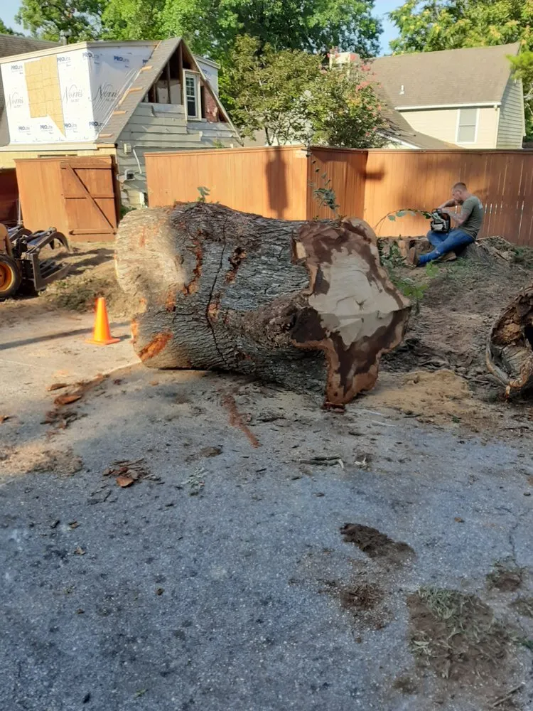 Expert residential landscaping in Tulsa, OK by Loard Phillips Tree Service & Removal