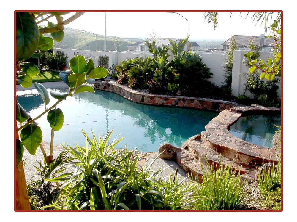 Reliable yard cleanup service in San Jose, CA by Loayza's Landscaping, Pools & Spas