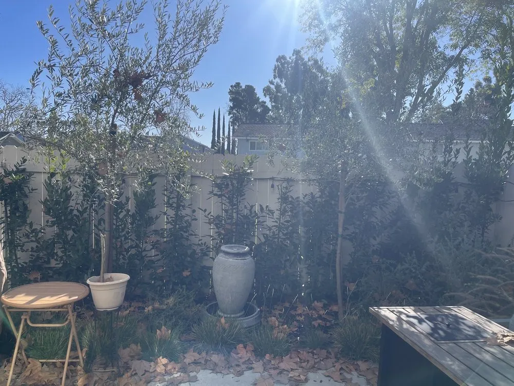 Reliable lawn mowing service experts serving San Juan Capistrano, CA - Lobato Landscaping