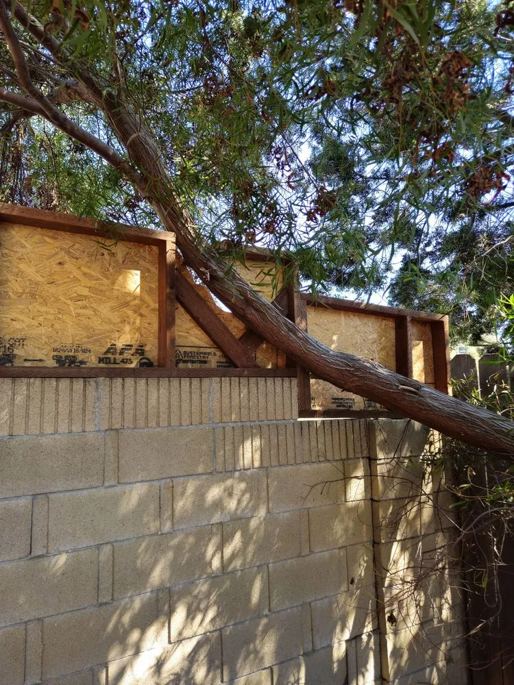 Expert yard maintenance in San Juan Capistrano, CA - Lobato Landscaping