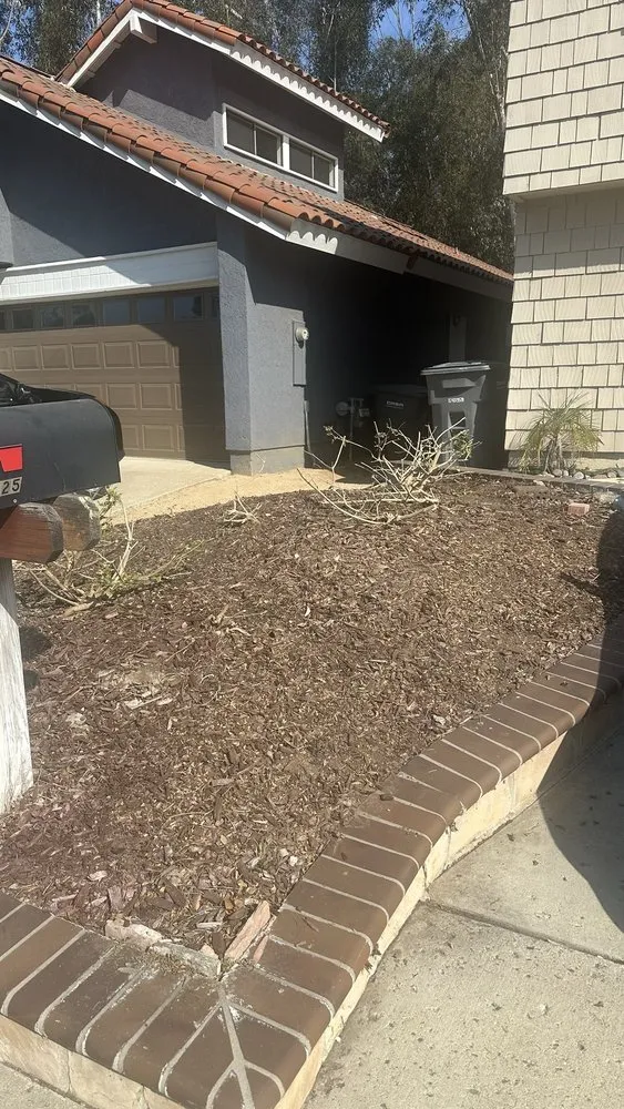 Expert yard cleanup service in San Juan Capistrano, CA - Lobato Landscaping