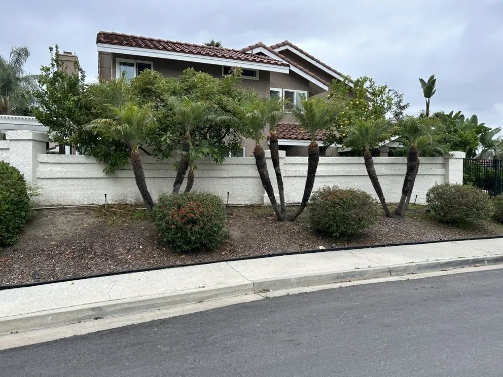 Local landscape design for outdoor upgrades in San Juan Capistrano, CA by Lobato Landscaping