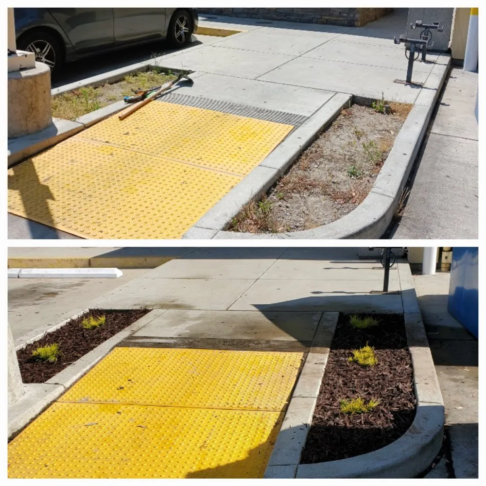 Professional landscape installation for year-round maintenance across Sunol, CA - Lobo Landscape and Maintenance