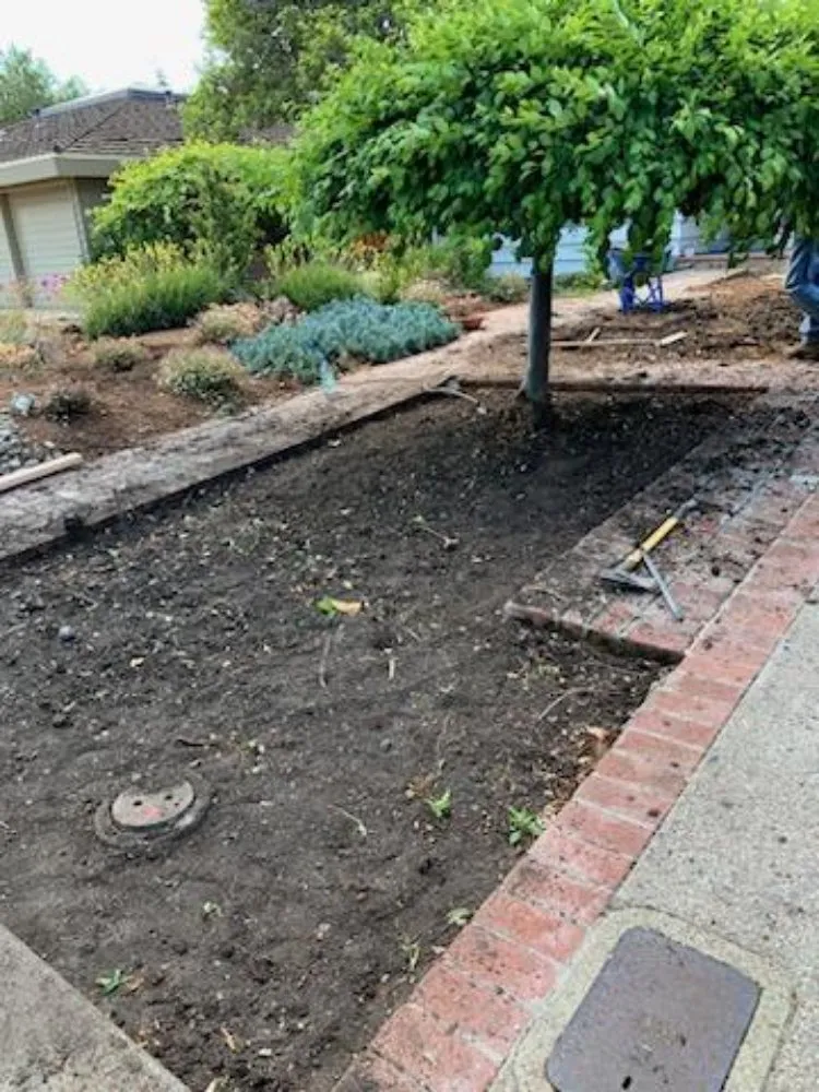 Top-rated lawn care service in Sunol, CA - Lobo Landscape and Maintenance