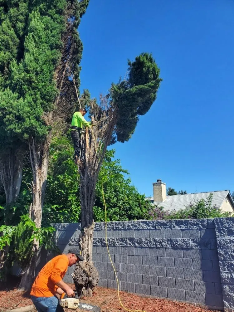 Trusted landscape installation in Sunol, CA by Lobo Landscape and Maintenance