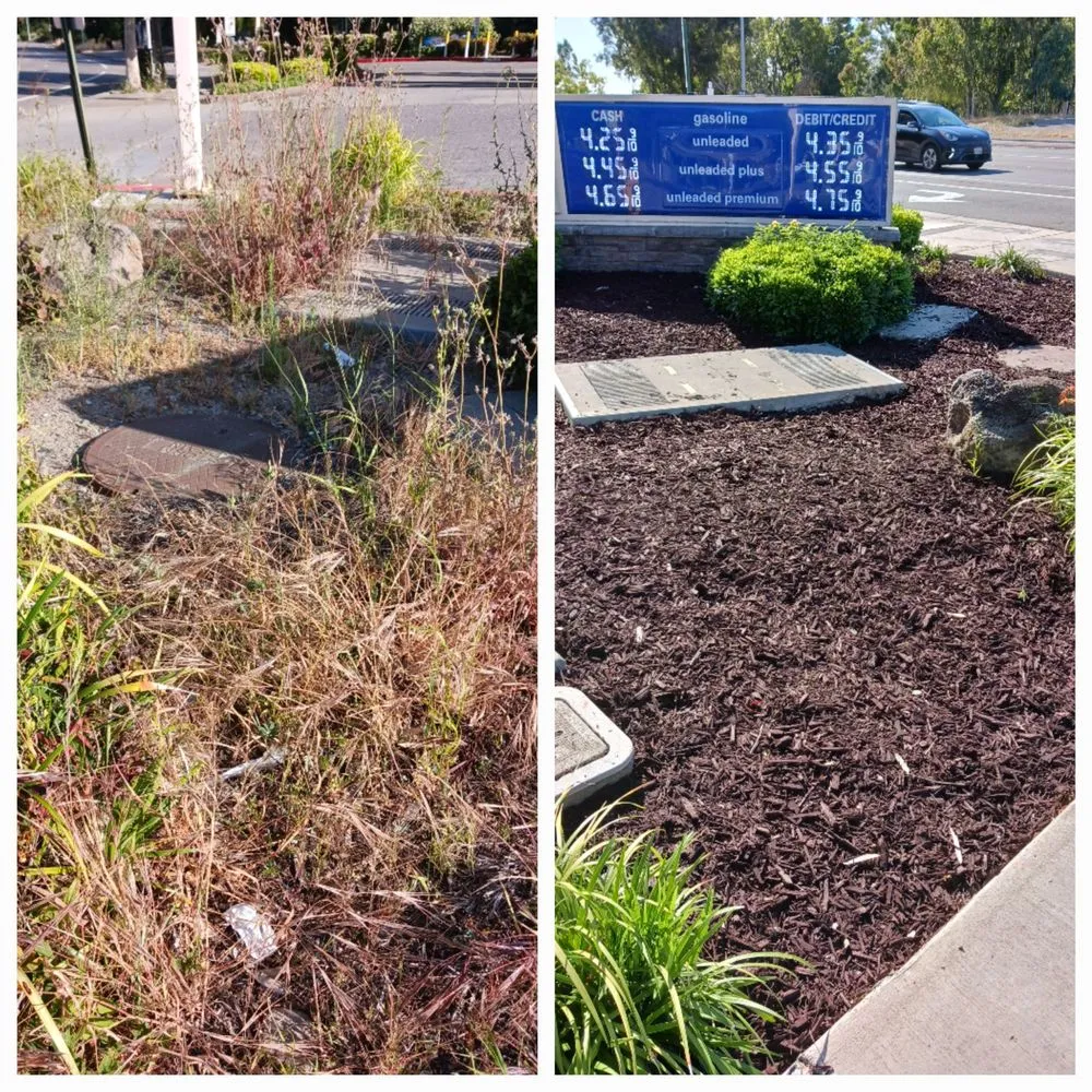 Custom garden landscaping for homes across Sunol, CA - Lobo Landscape and Maintenance
