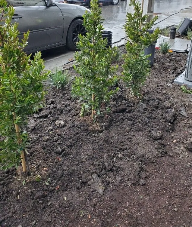 Top-rated residential landscaping near you across Sunol, CA - Lobo Landscape and Maintenance