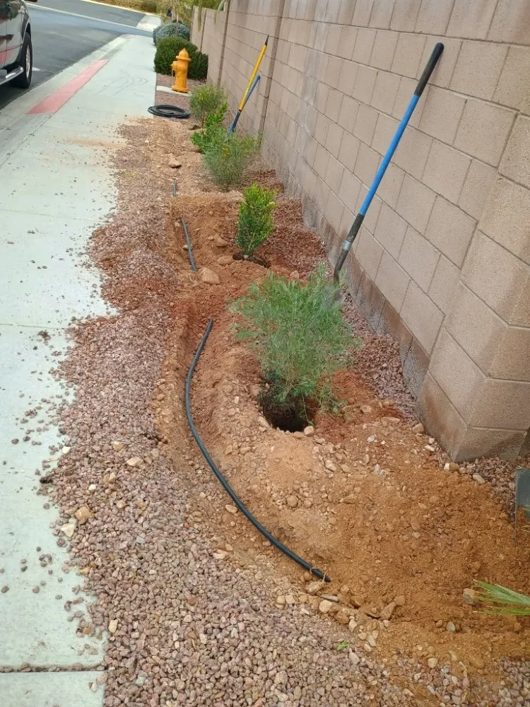 Professional landscape installation for homes across Las Vegas, NV - Lobo Landscaping & Maintenance